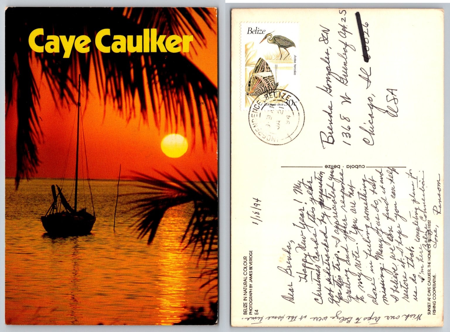 Caye Caulker Belize Sunset Sailboat Palm Trees 1994 Postcard James Beveridge