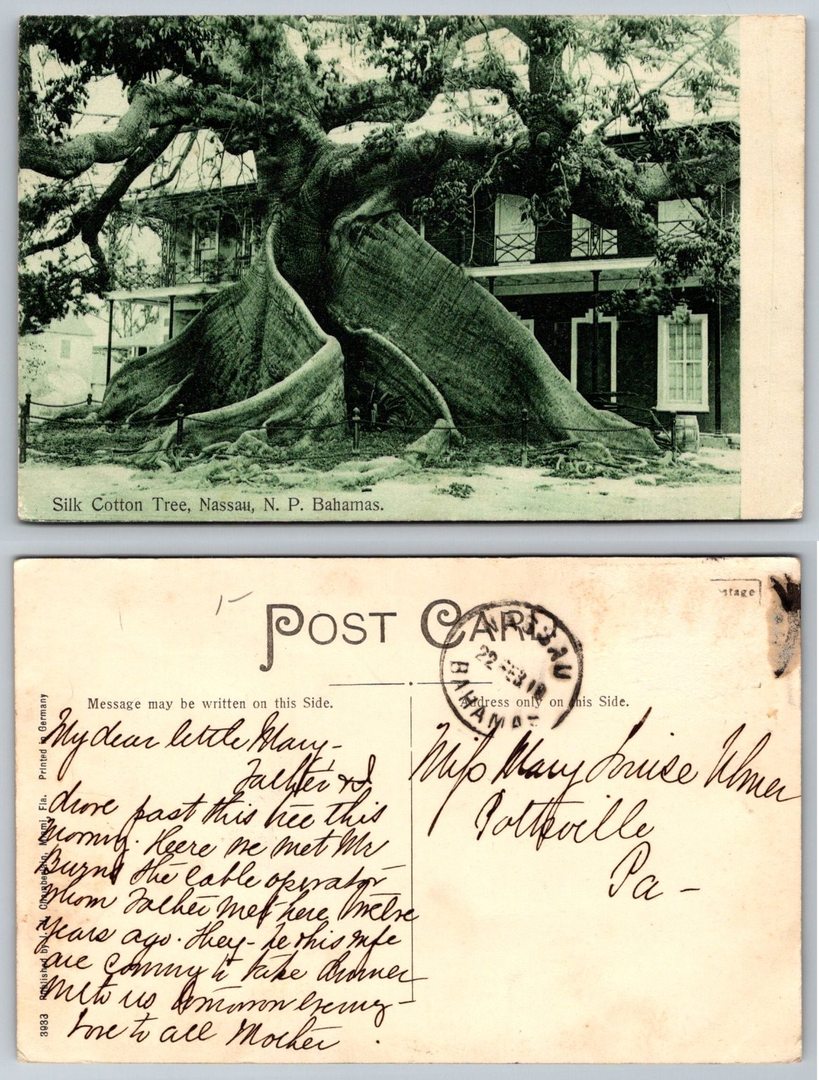 1918 Silk Cotton Tree Nassau Bahamas Postcard GHR Miami FL Posted