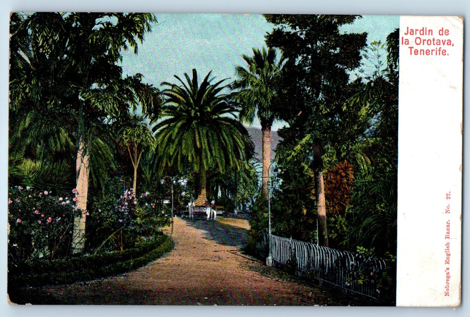 Canary Islands Spain Postcard Orotava Garden Tenerife 1911 Antique Posted