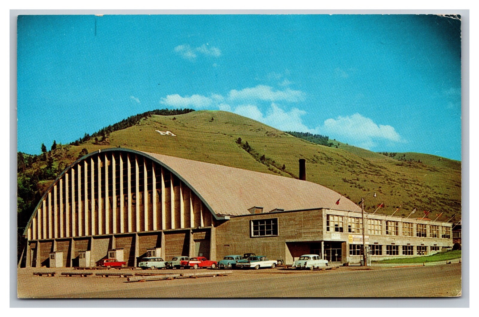 Missoula MT Montana State University Field House Chrome Postcard Posted 1964