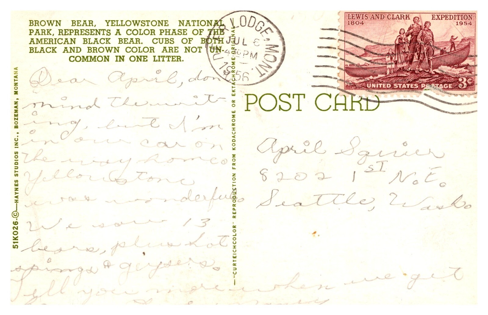 Yellowstone National Park WY Wyoming Brown Bear Posted 1956 Chrome Postcard