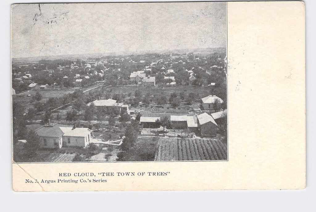PPC Postcard KS Kansas Red Cloud “The Town Of Trees” No. 3 Argus Printing Co’s S