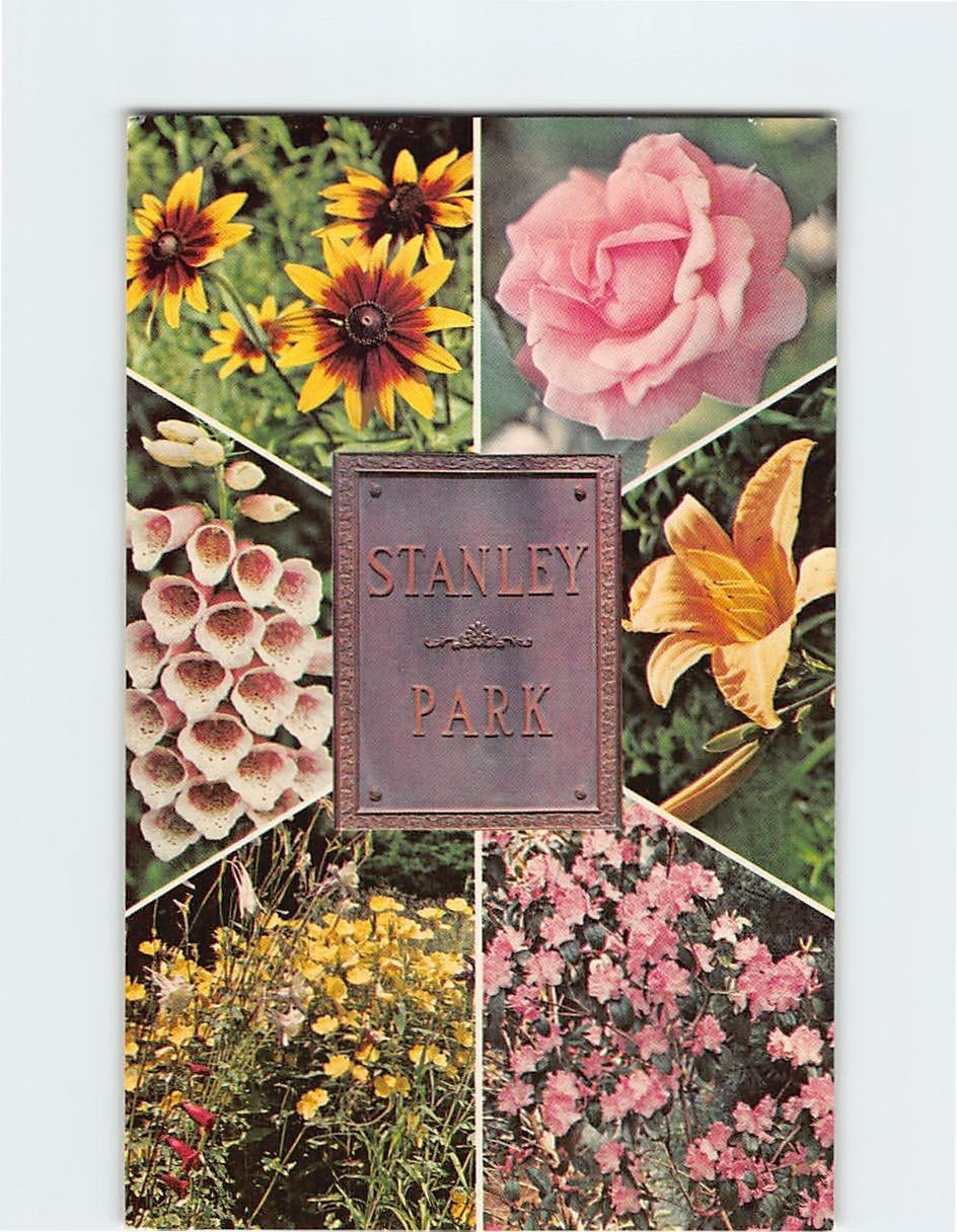 Postcard Multiple Flowers In Stanley Park Westfield Massachusetts