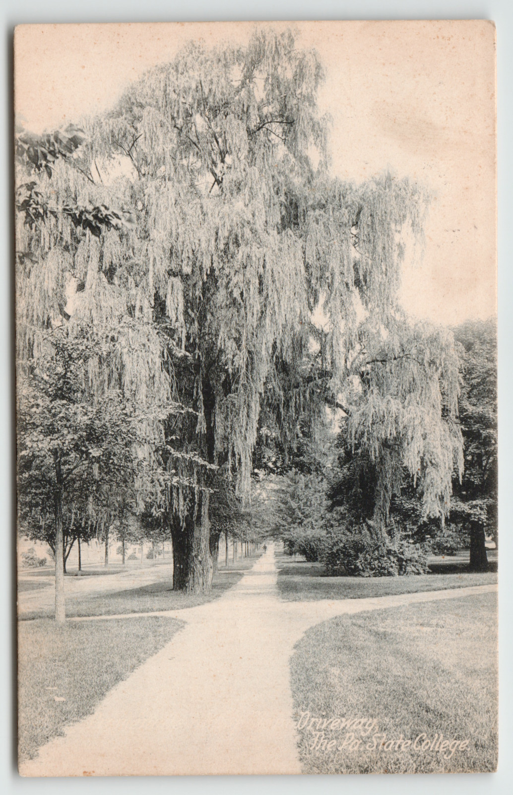 Postcard the Driveway at Pennsylvania State College in State College, PA.