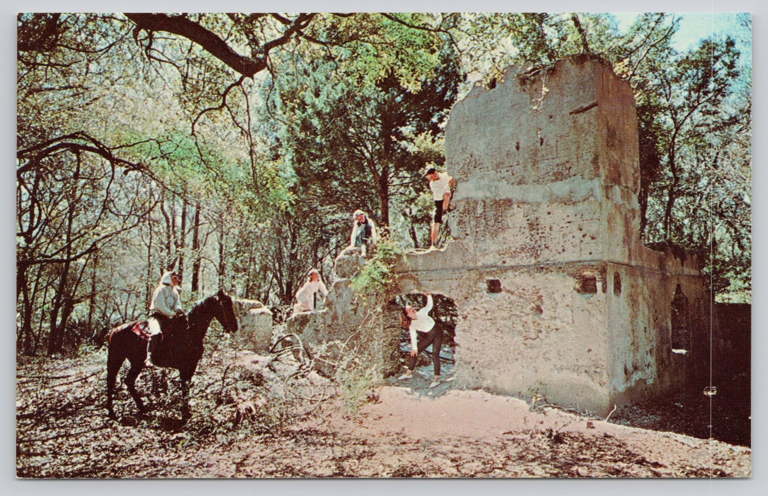 Bayard Plantation Ruins Hilton Head SC Vintage Postcard Photo Arts Dexter Press