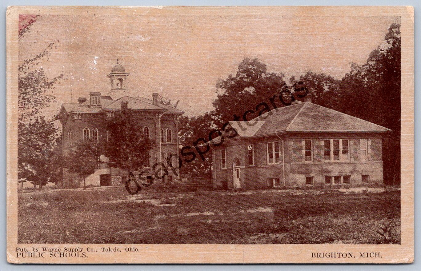 K56/ Brighton Michigan Postcard c1910 Public School Buildings 207