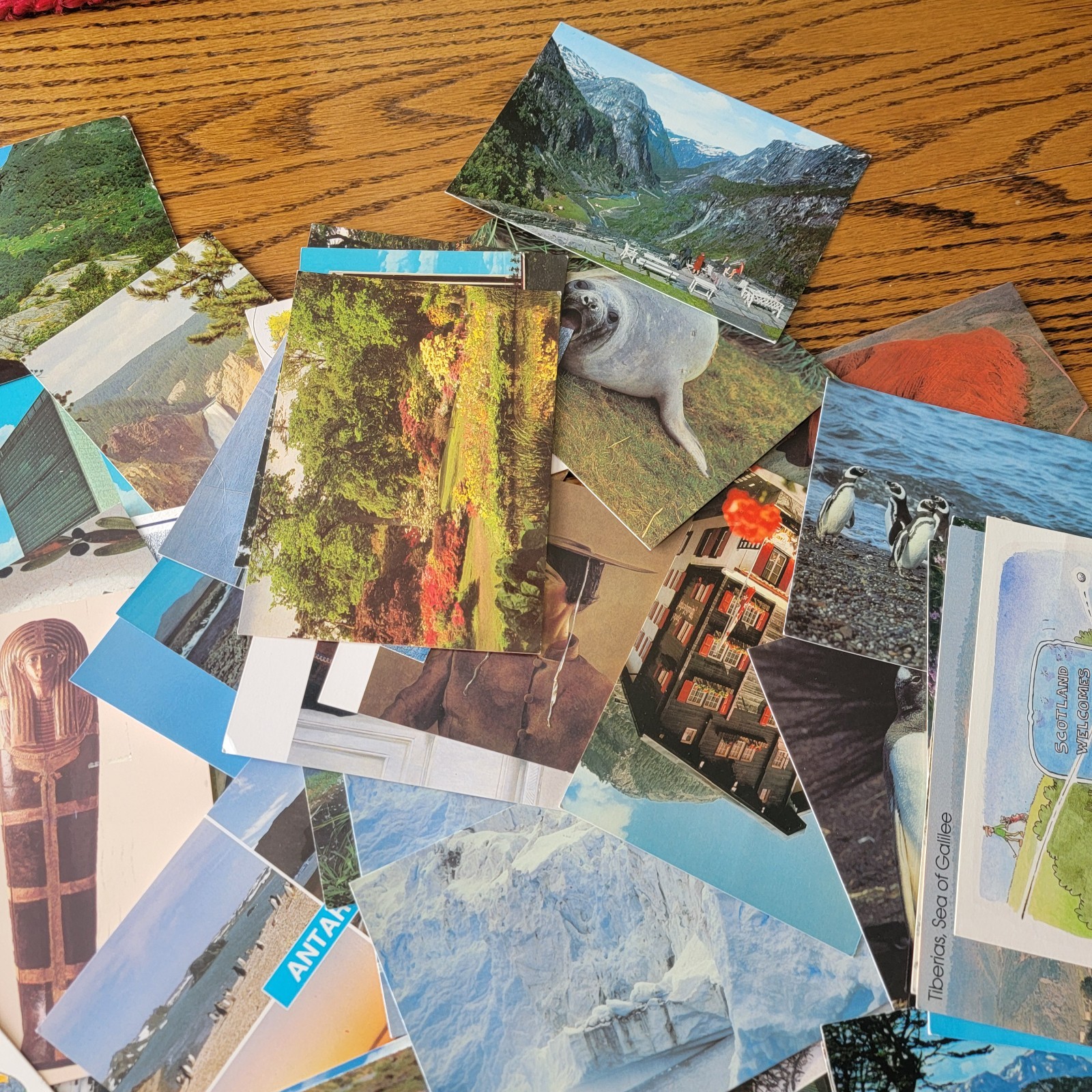 Lot Of Over 150 Vintage Post Cards Around the World Locations most are unwritten