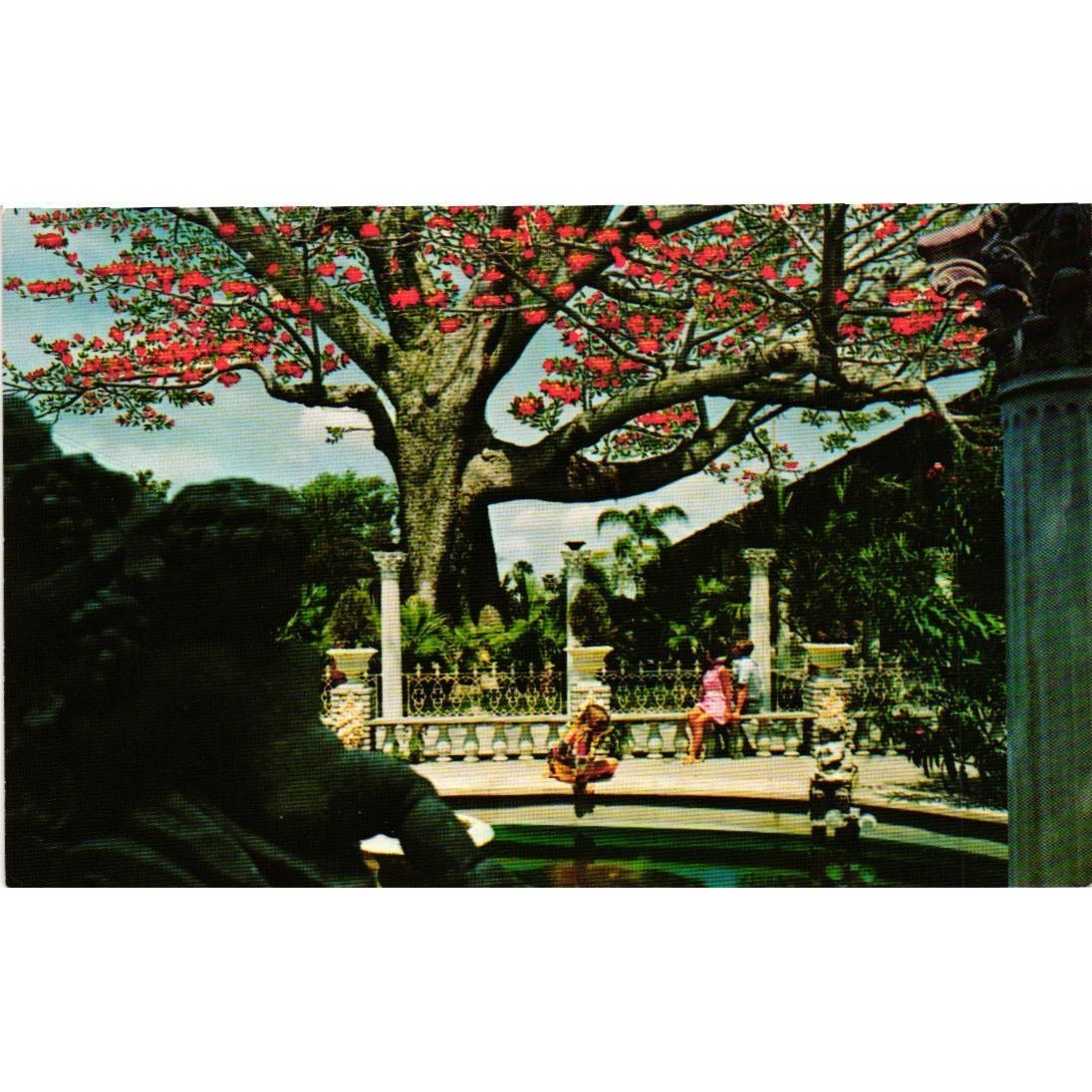Vintage Kapok Tree Inn Clearwater Florida Postcard McGrew Color Graphics 380251