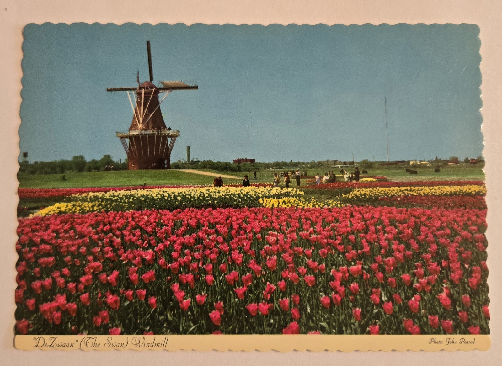 The Swan Windmill De Zwaan Holland Michigan VTG Unused 6×4 Postcard X01