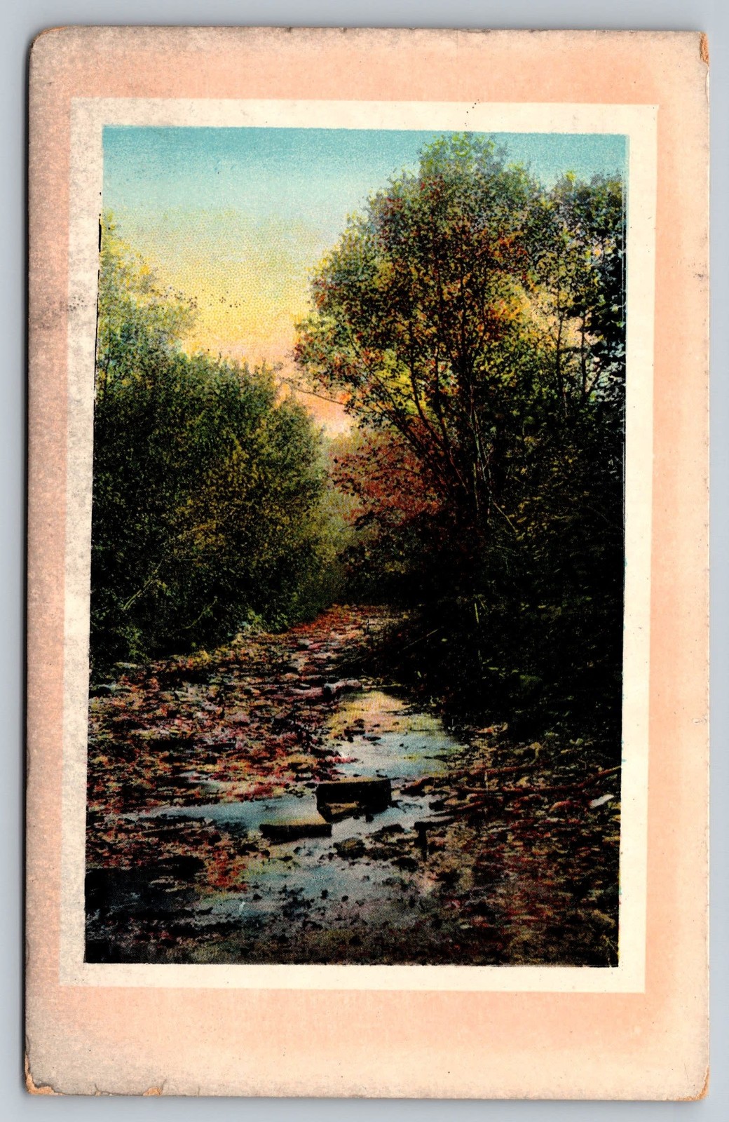 Stream Sparta NJ New Jersey Vintage Postcard trees nature 1911 Germany