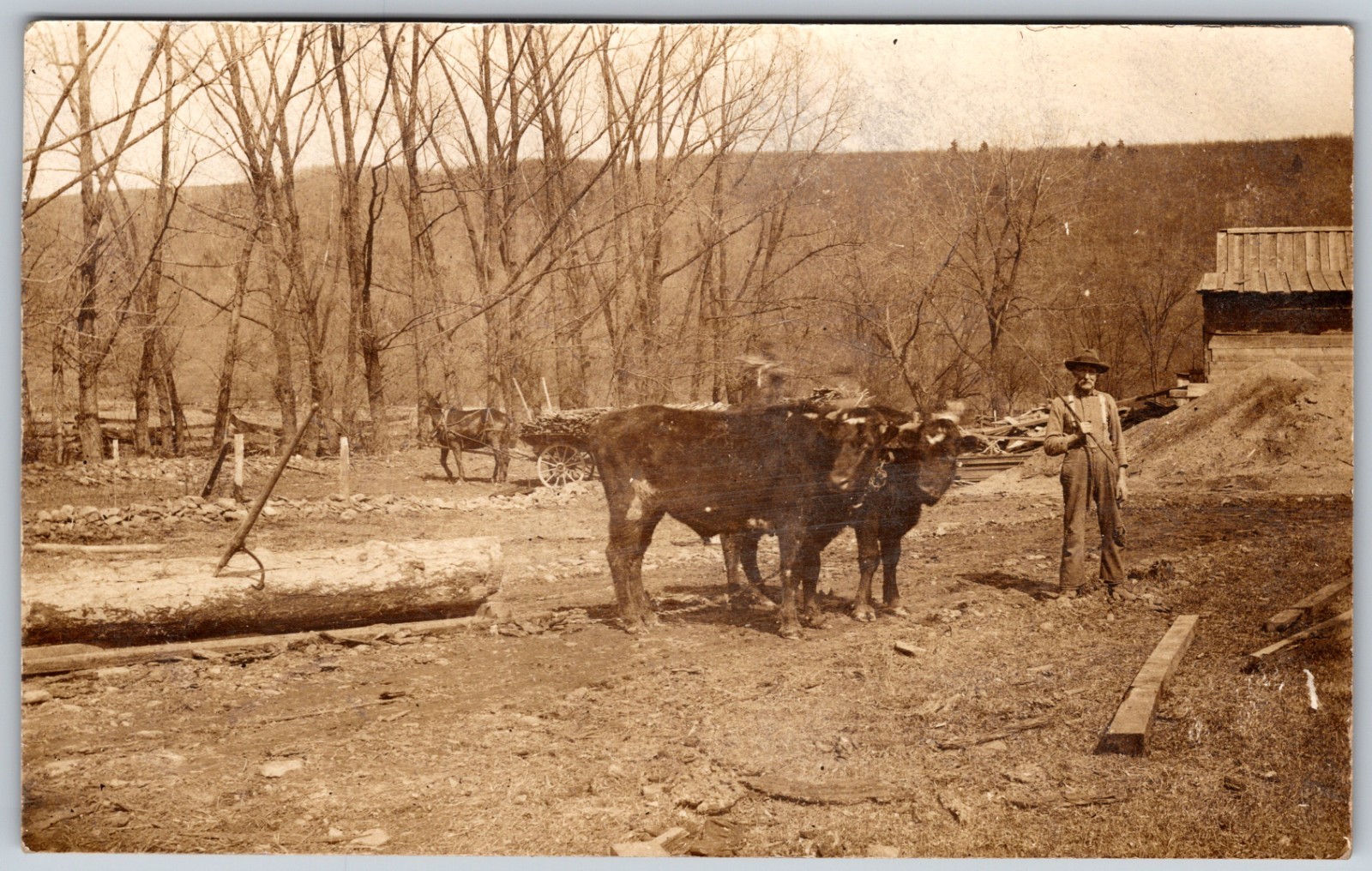 RPPC 1907-1909 Man Poses with Oxen Logging Scene RARE ANTIQUE Postcard 9096