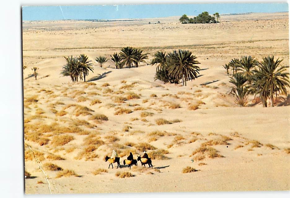 Postcard The Great South Tunisia