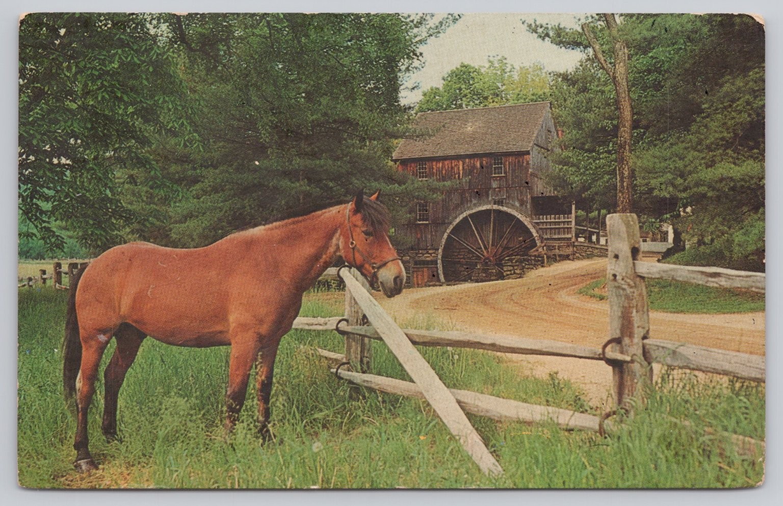 Vintage 1966 Old Sturbridge Village Grist Mill Horse Postcard MA