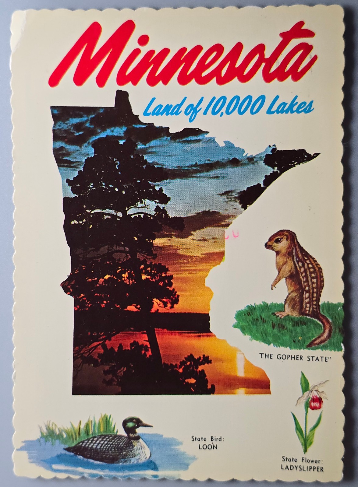 1975 Minnesota “Land of 10,000 Lakes” Postcard – Gopher State – Loon – Ladyslip