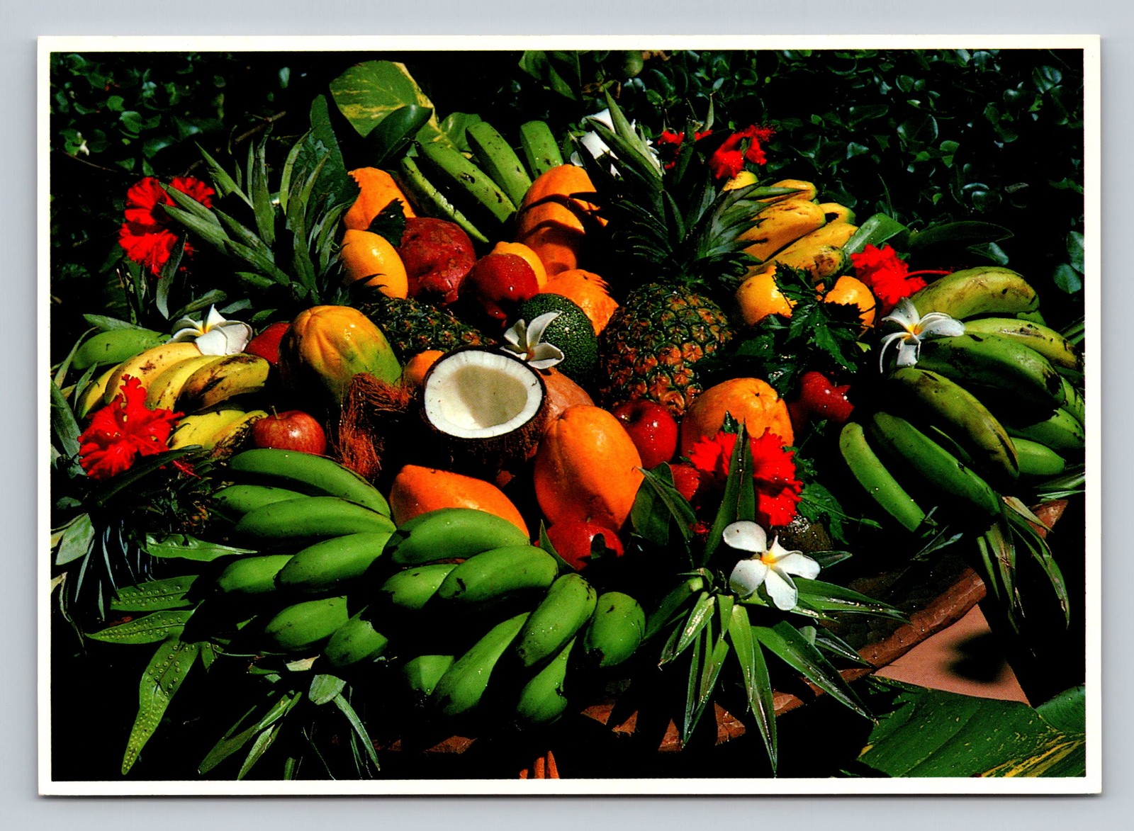 Colorful Assortment of Tropical Fruits Including Pineapples Bananas Coconut 1979