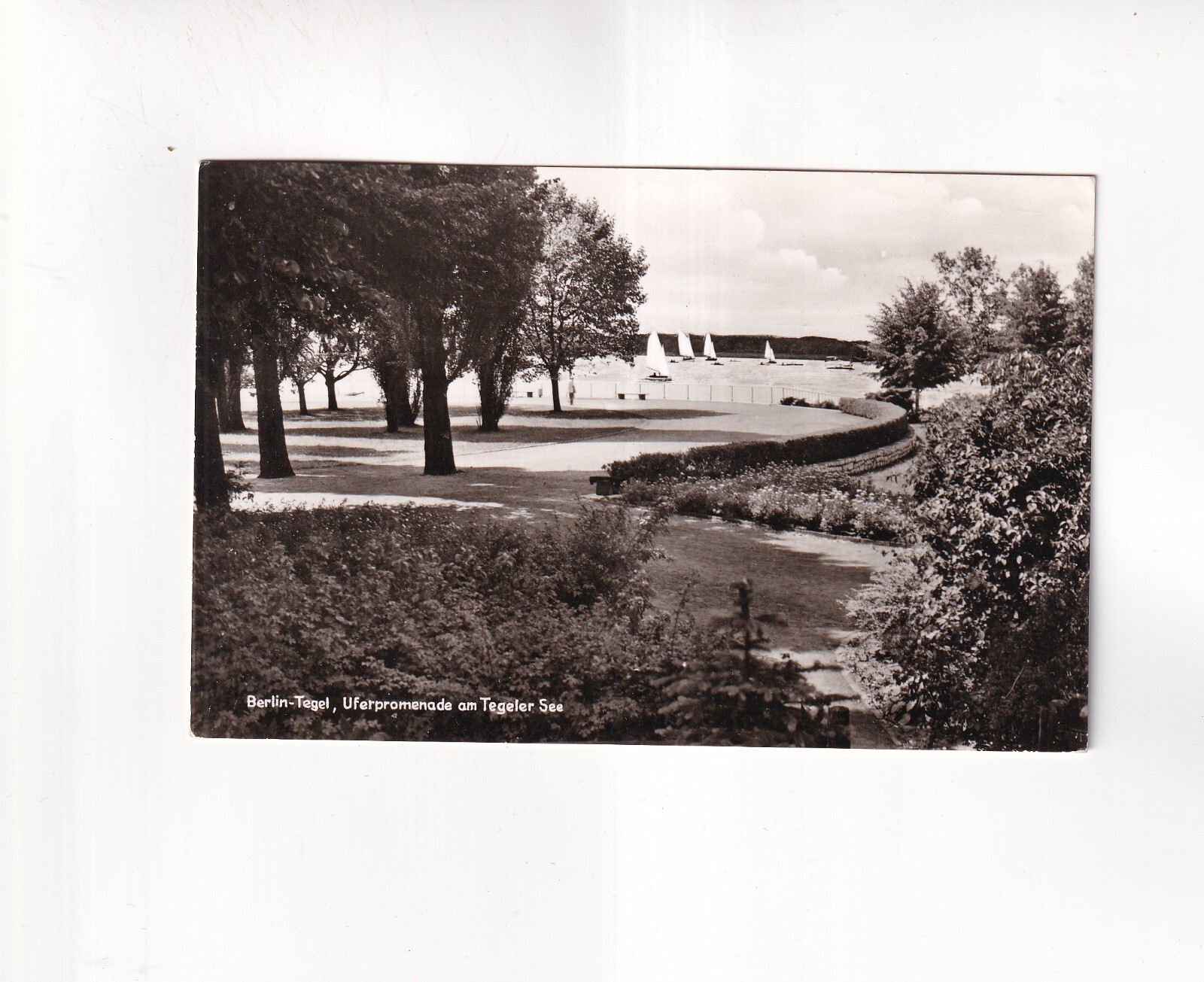 8217) Postcard BERLIN TEGEL – Lakeside promenade on Lake Tegel – Sailboats