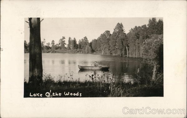 Lakeside, Arizona AZ Lake O’ the woods 1940 Original Vintage Real Photo RPPC