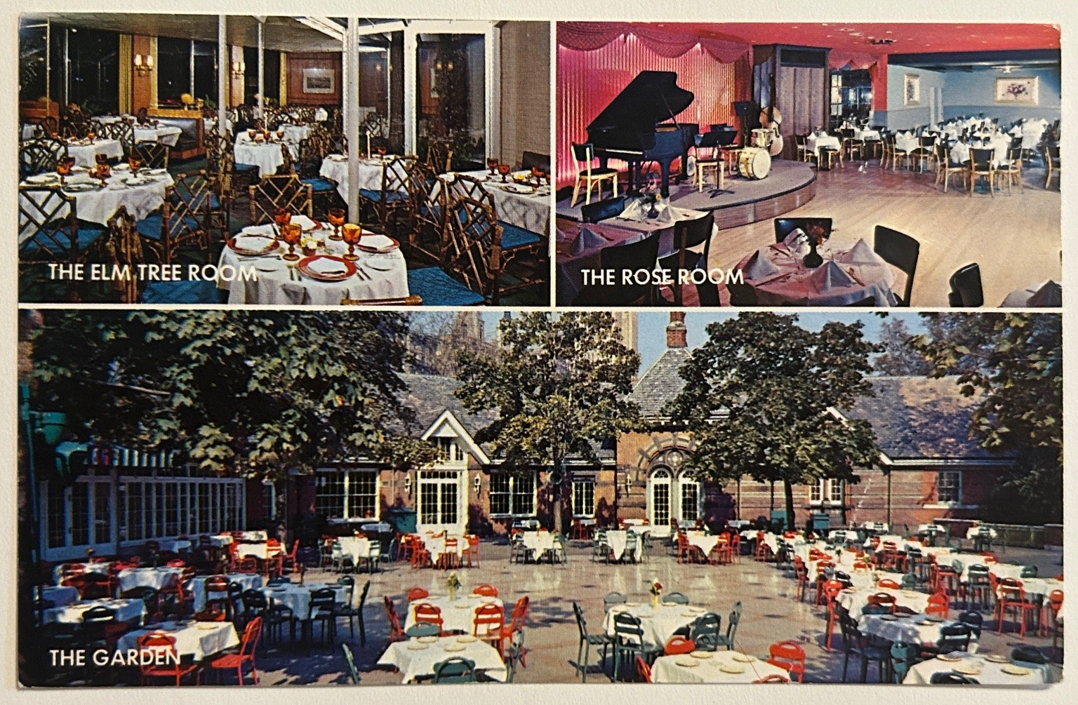 Tavern-On-The-Green NYC 1968 Chrome Postcard – Elm Tree Rose Room Garden