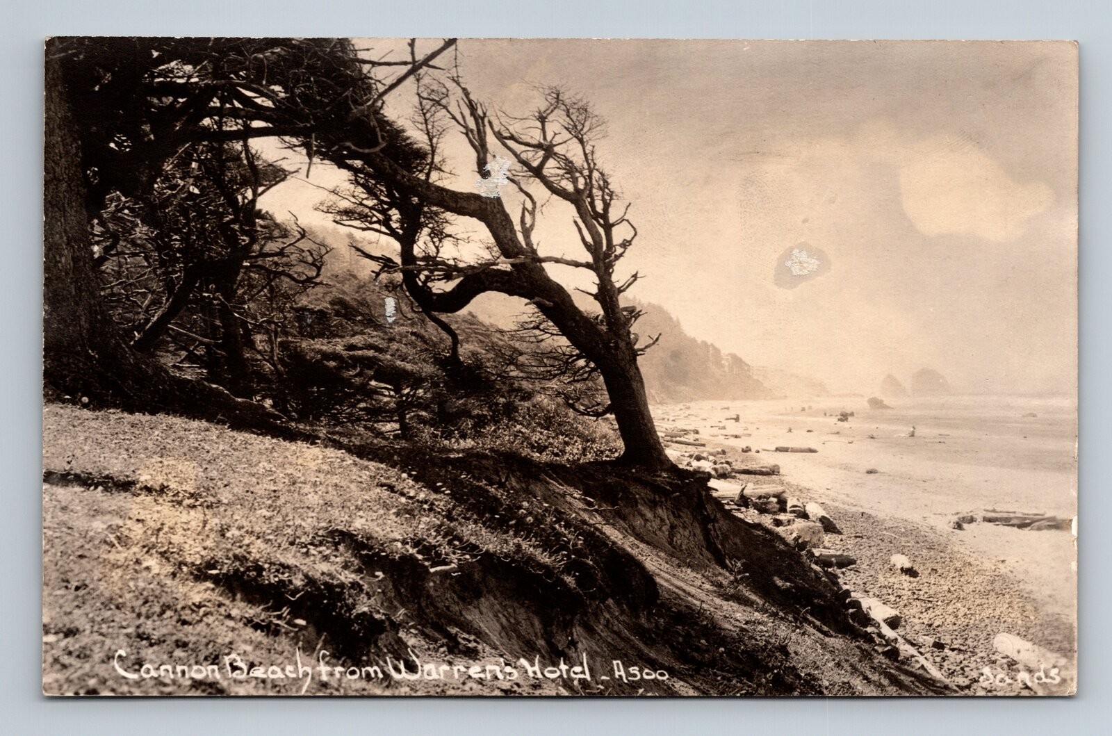 RPPC Cannon Beach,OR from Warrens Hotel Clatsop County Oregon