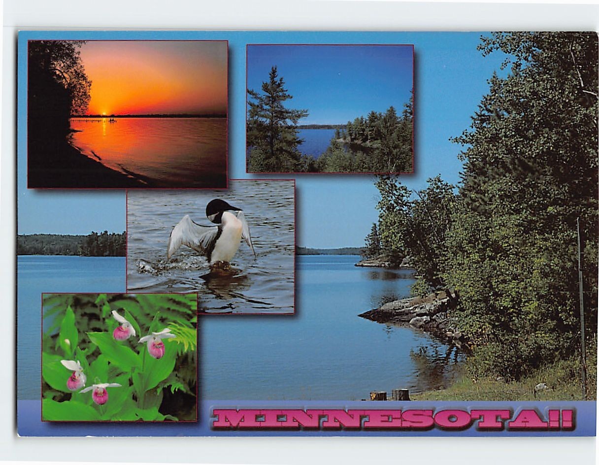 Postcard Minnesota!! Minnesota USA