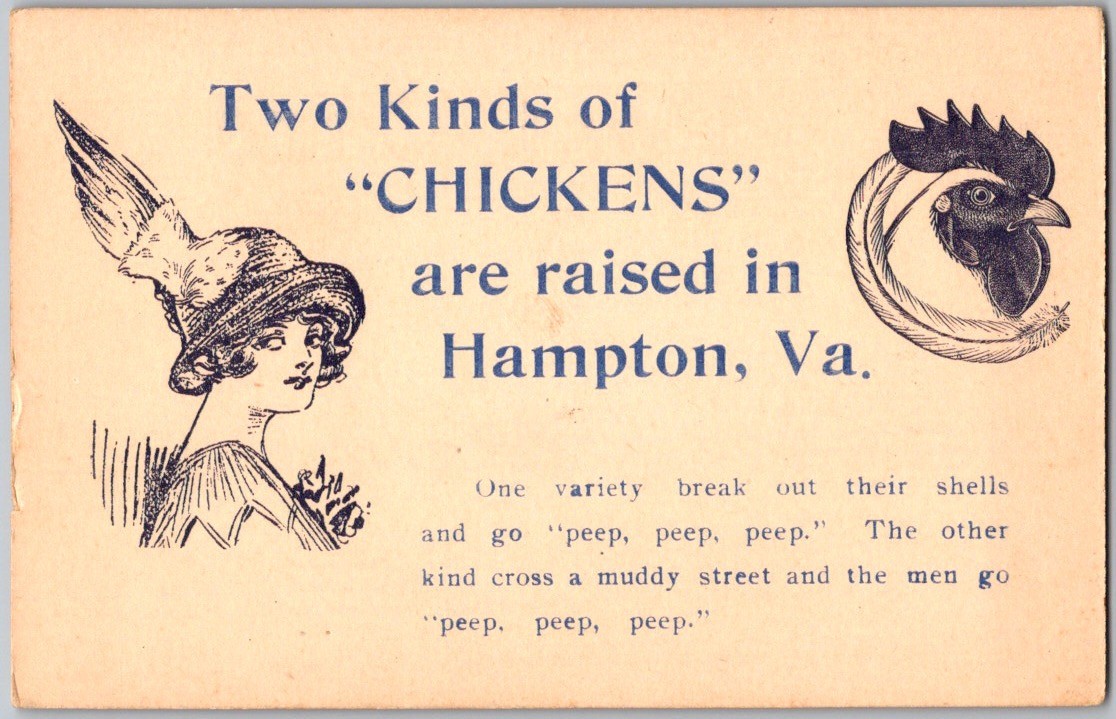 Antique Postcard Two Kinds of Chickens are Raised in HAMPTON VIRGINIA Unposted