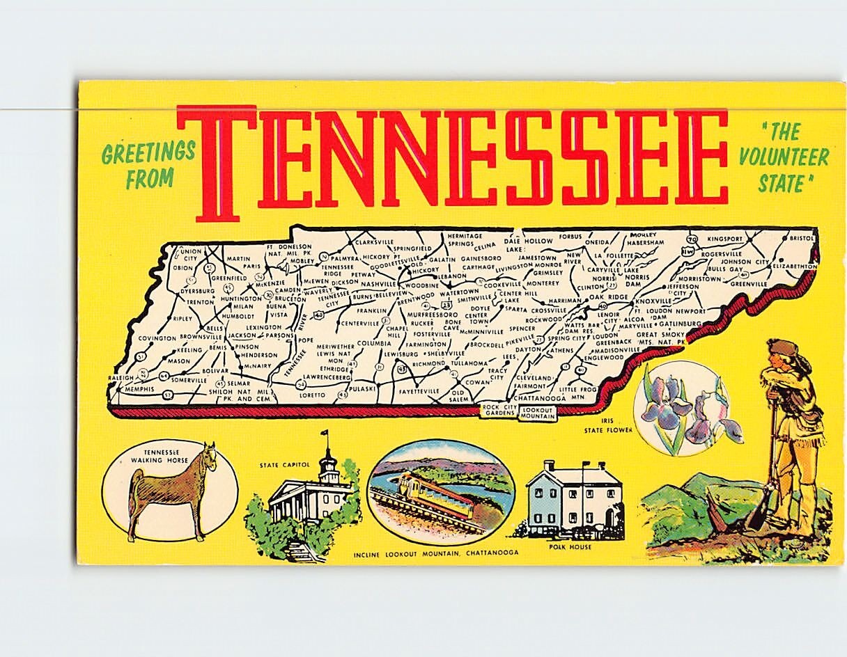 Postcard Greetings from Tennessee “The Volunteer State”