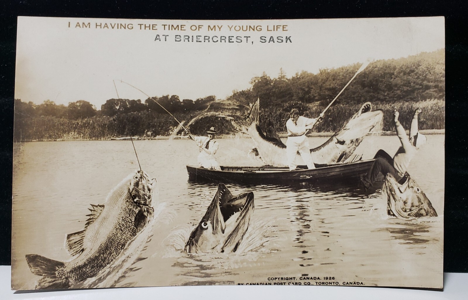 Exaggerated Fish “I’m Having The Time Of My Young Life” At Briercrest Postcard