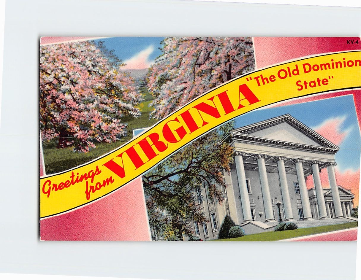 Postcard Greetings from Virginia The Old Dominion State Apple Blossoms USA