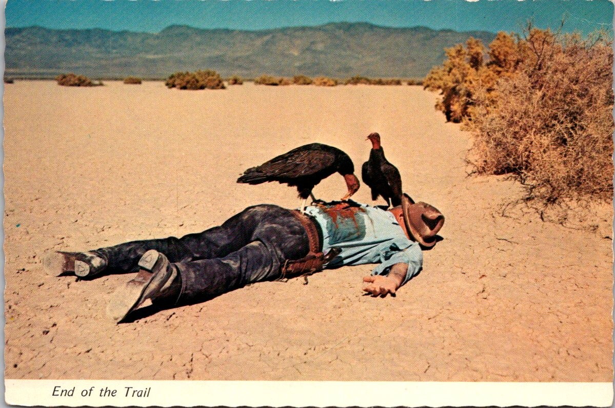 Desert Scene Nevada Man Attacked by Vultures Continental Postcard B536