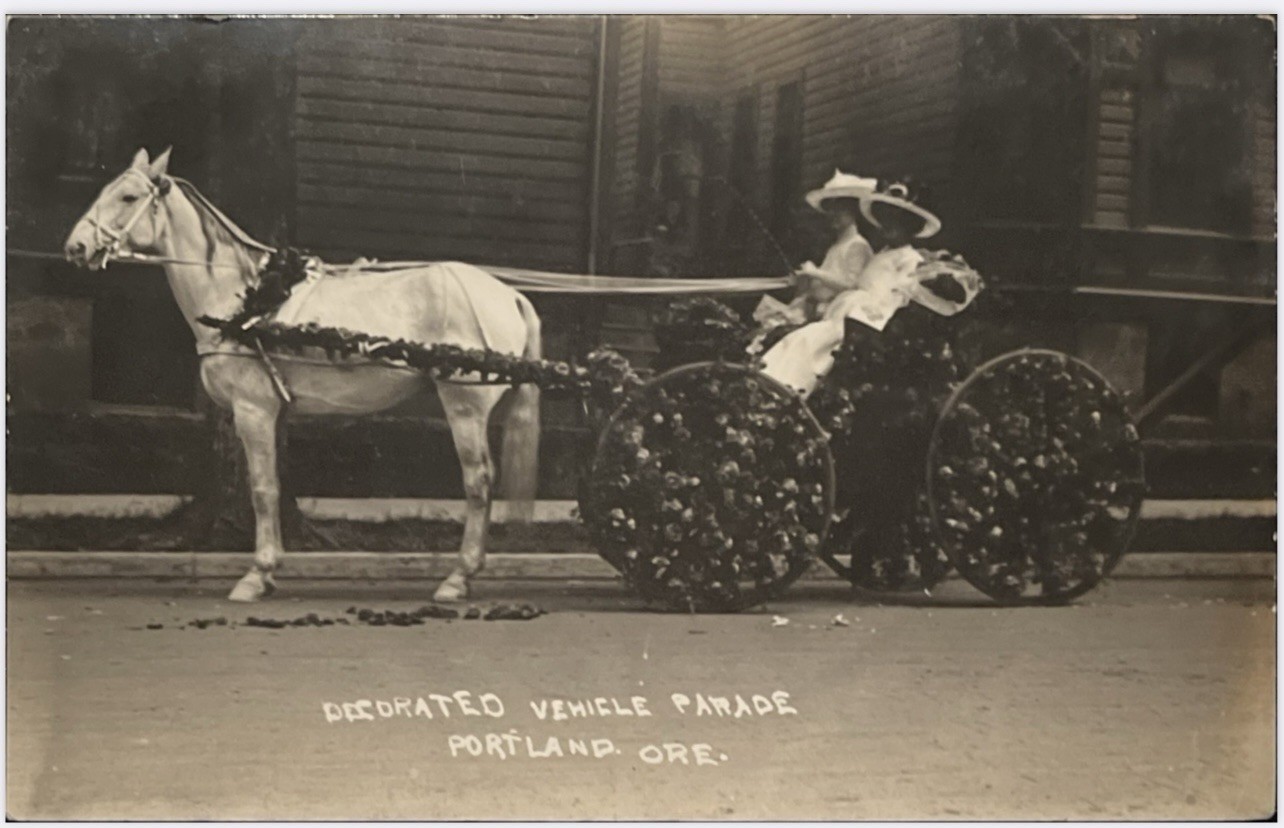 Vintage Portland Oregon Rose Festival Beautiful White Horse RPPC