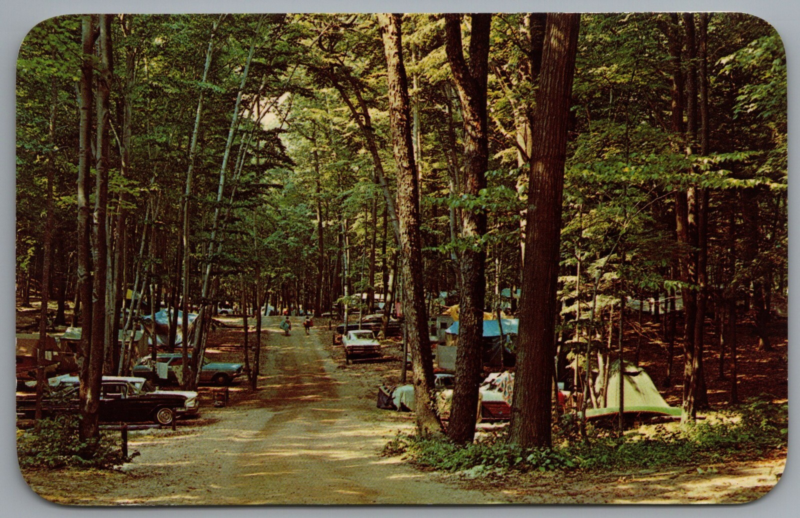 Berrien Center Michigan Camping Michigan Water Winter Wonderland 1964 Postcard
