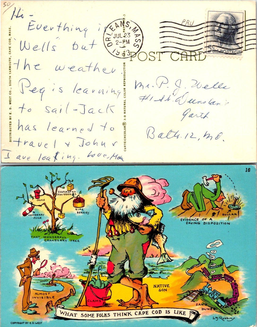 E.D. West Cape Cod Postcard Cartoon What Some Folks Think Postmarked Orleans MA