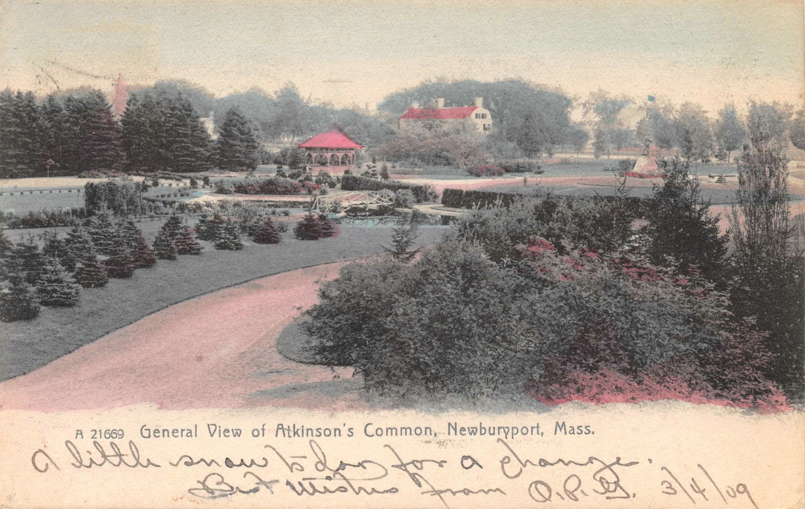 Postcard Newburyport MA Atkinson’s Common Rotograph