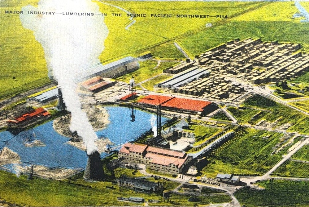Vintage Linen Postcard ~ Lumbering Industry In The Pacific Northwest ~ #-6549