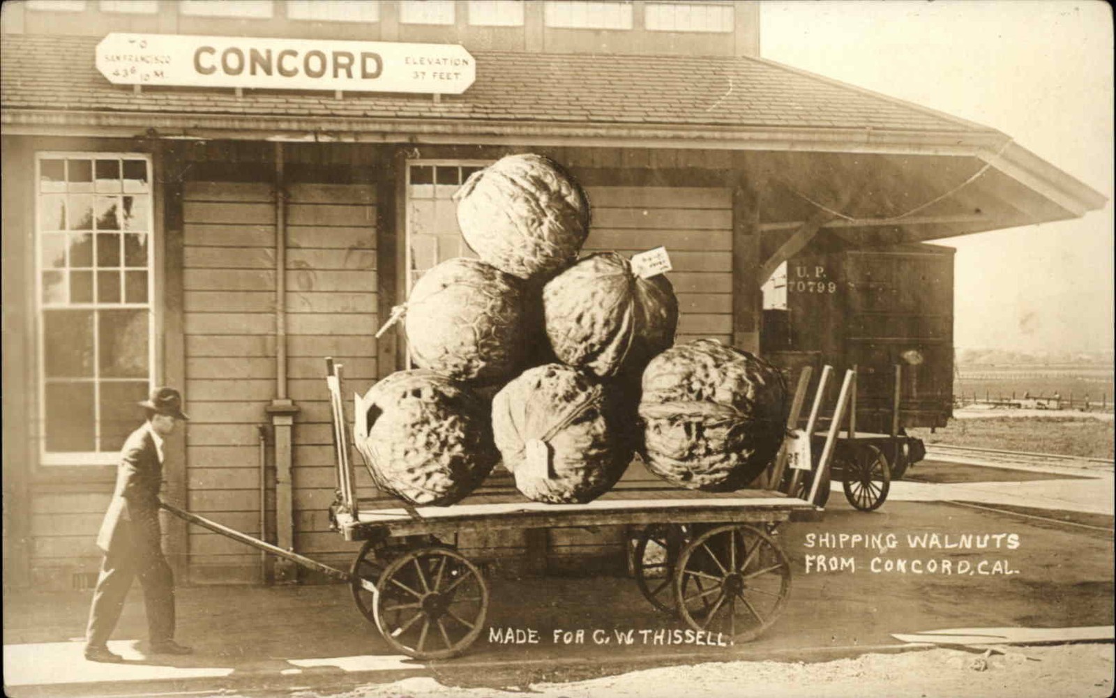 Concord California CA Train Station Depot Walnut Exaggeration CW Thissell c1910