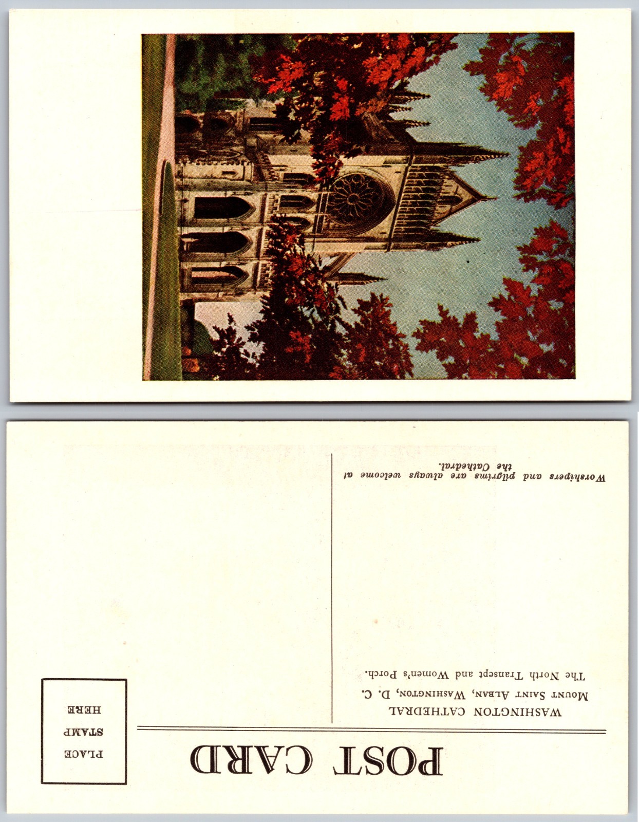 Cathedral Architecture Washington DC Postcard