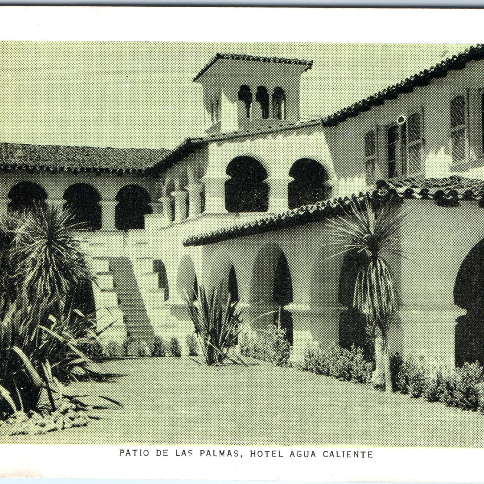 c1920s Tijuana, Mexico Hotel Agua Caliente Patio Palmas Spanish Colonial A360