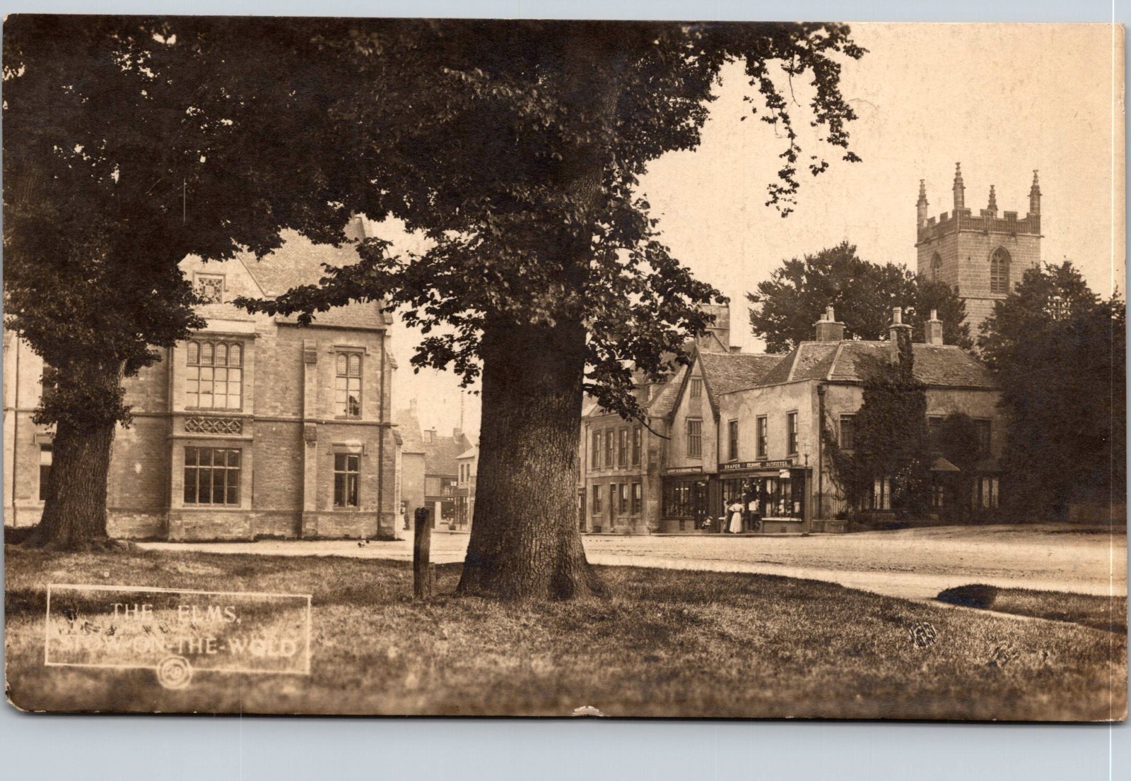 Elms on Stow on the Wold Gloucester England UK Postcard E49