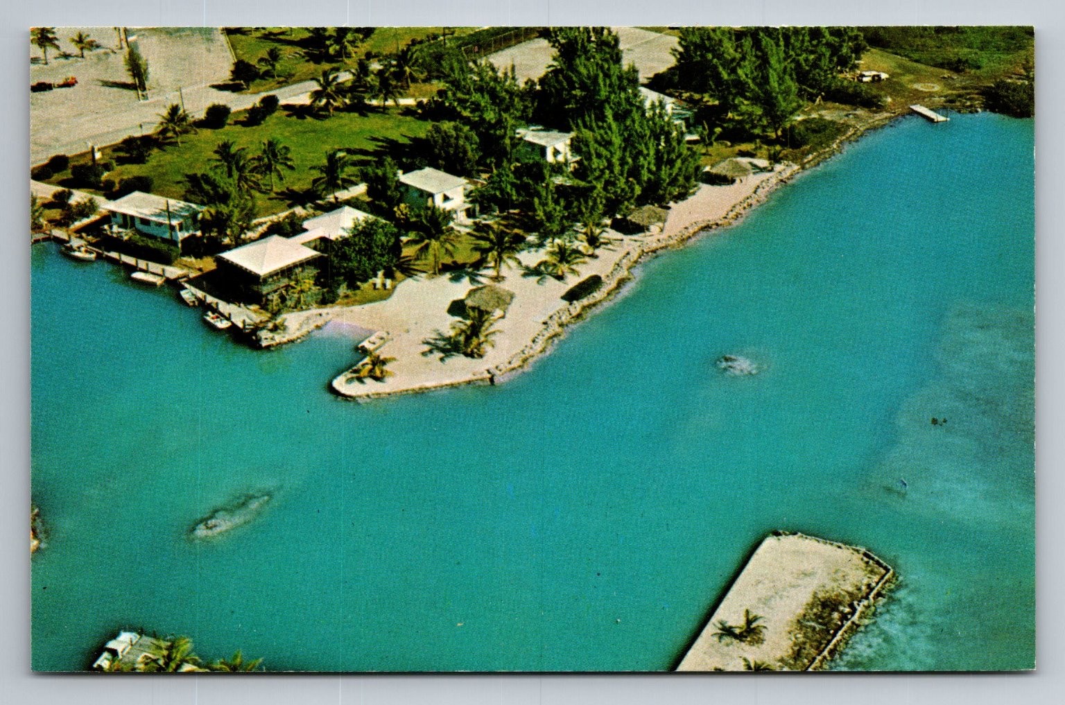Vintage Pelican Cove Motel & Marina Islamorada Florida Keys Postcard