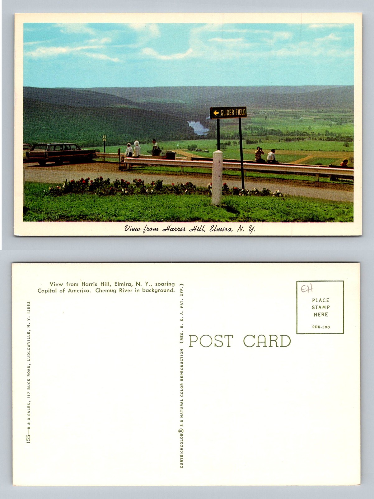 Elmira, NY-New York, Harris Hill Glider Field Chemung River Vintage Postcard