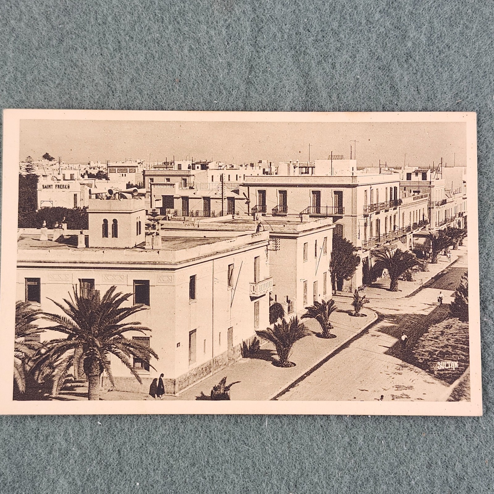 1943 Avenue Krantz Sousse Tunisia North Africa Cream Building Palm Trees WWII