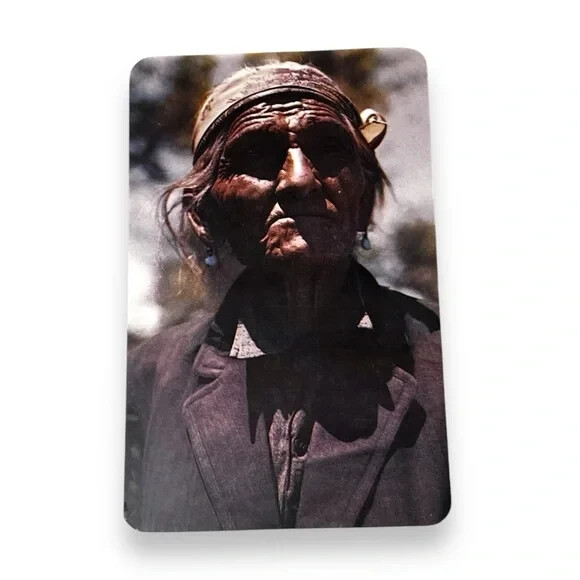 Postcard Navajo Sheepherder Painted Desert New Mexico Chrome A251