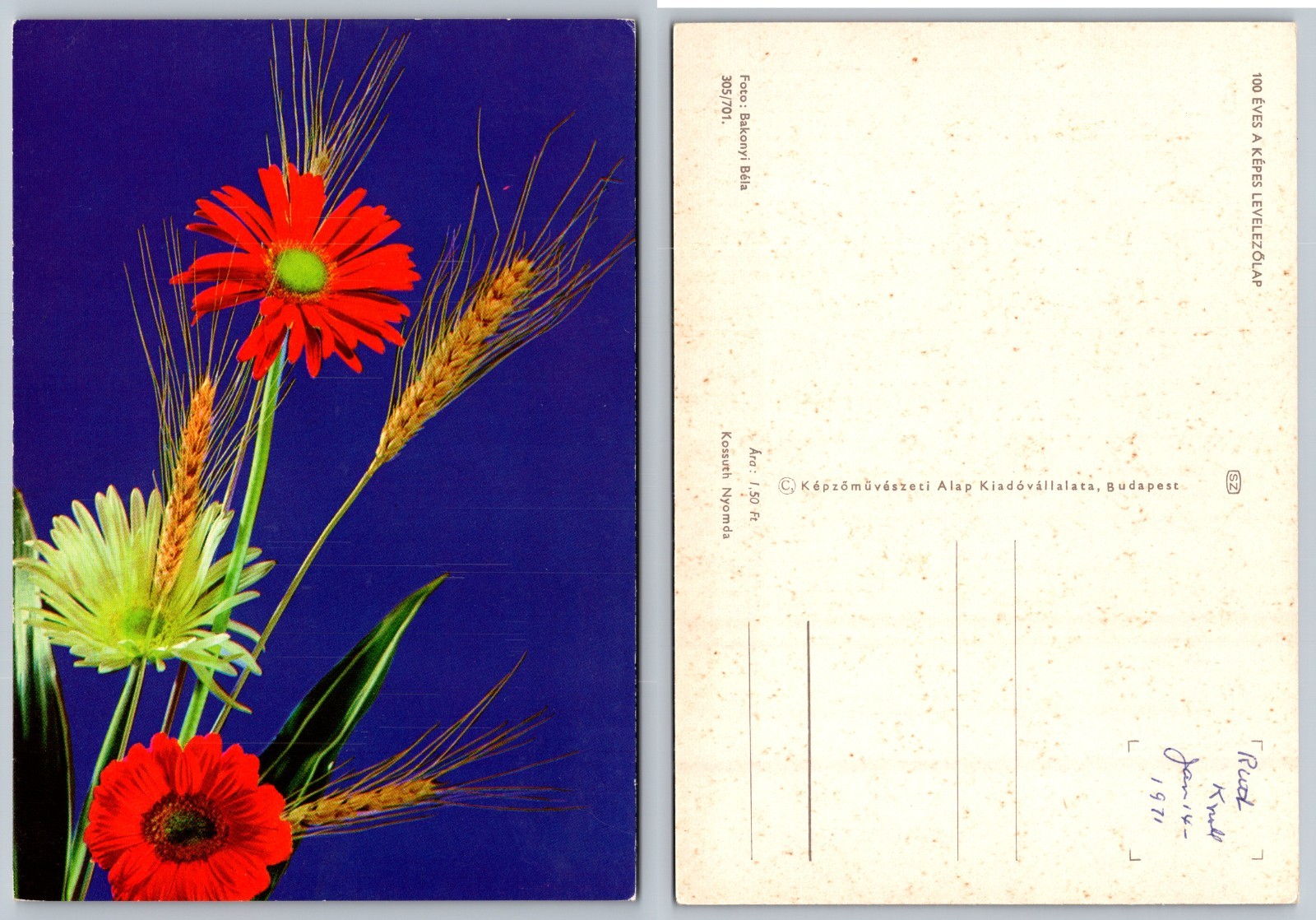 Continental Colorful Flowers Postcard