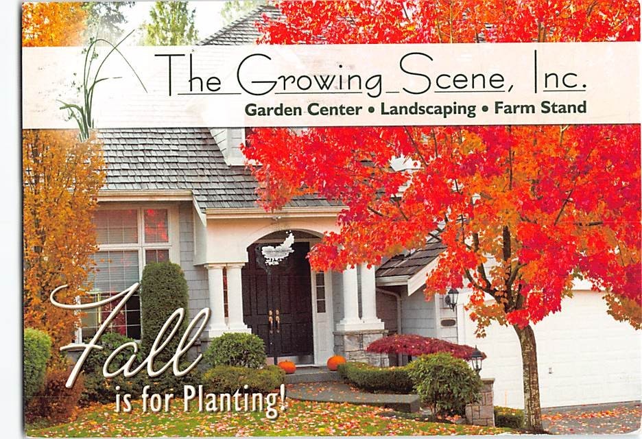 Postcard Fall Scene The Growing Scene Advertisement