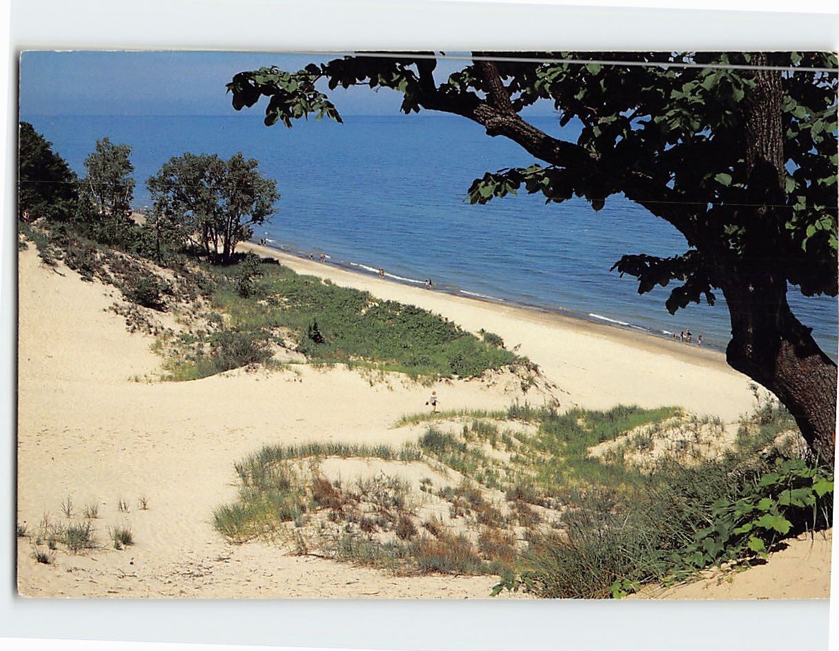Postcard Lake Michigan Shoreline Michigan USA