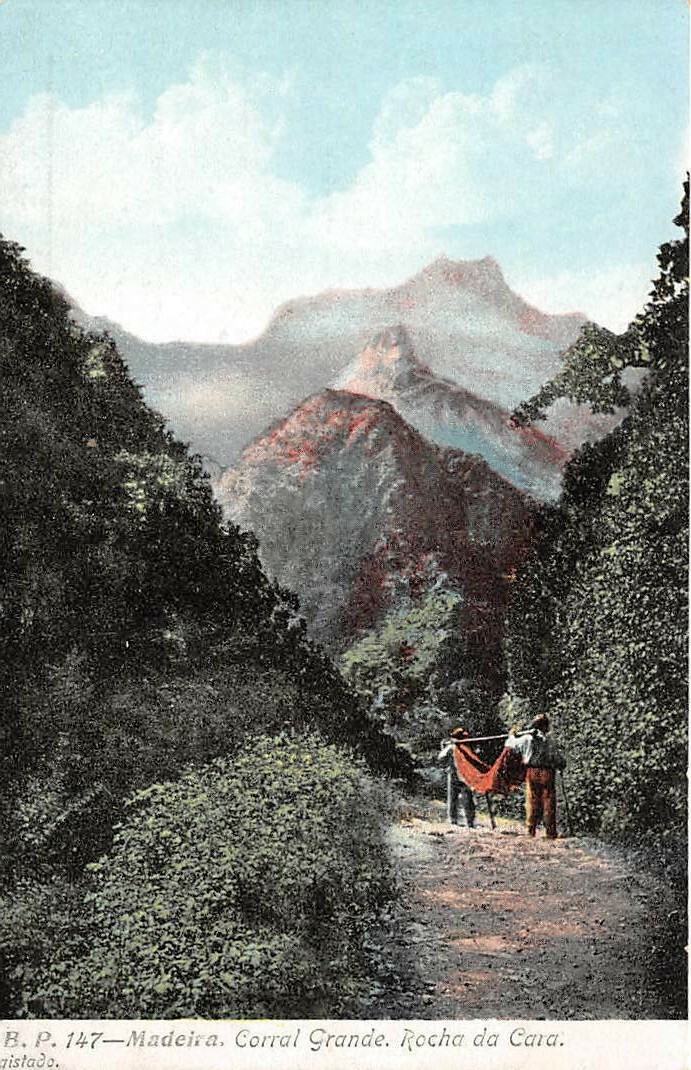 SPAIN~MADEIRA~LARGE CORRALL~ROCHA DA CARA