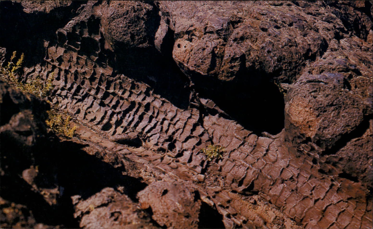 Horizontal Lava Tree Mold ~ Craters of the Moon Idaho ~ 1978 vintage postcard
