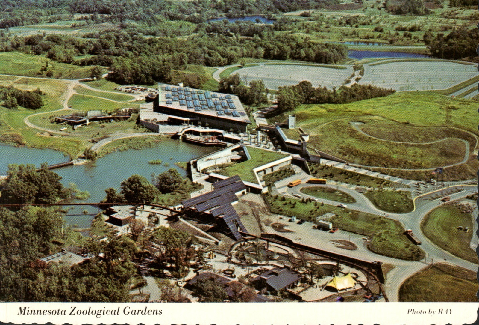 Minnesota Zoological Gardens Aerial View 4×6 Continental Postcard Deckle edge