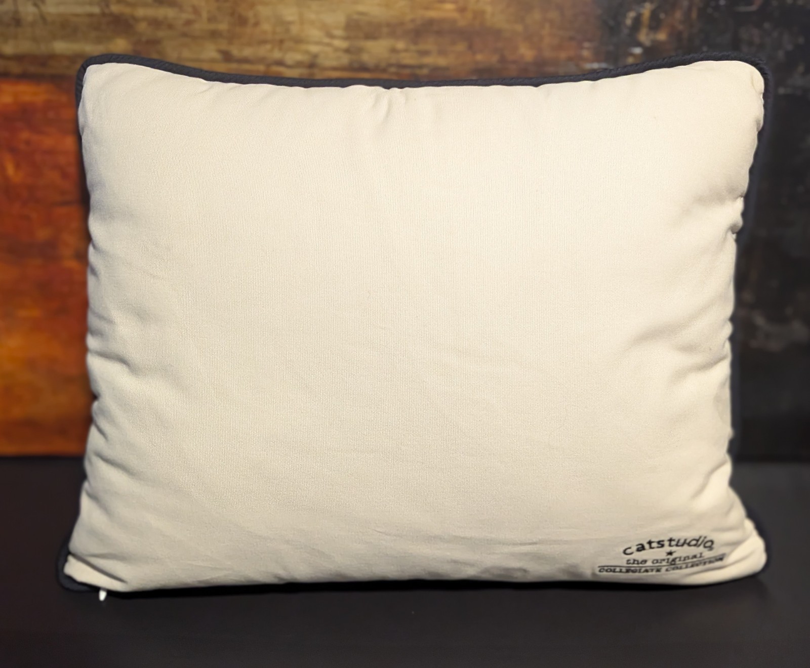Cat Studio UNIVERSITY of SOUTHERN CALIFORNIA USC Pillow NCAA Champs Football NEW