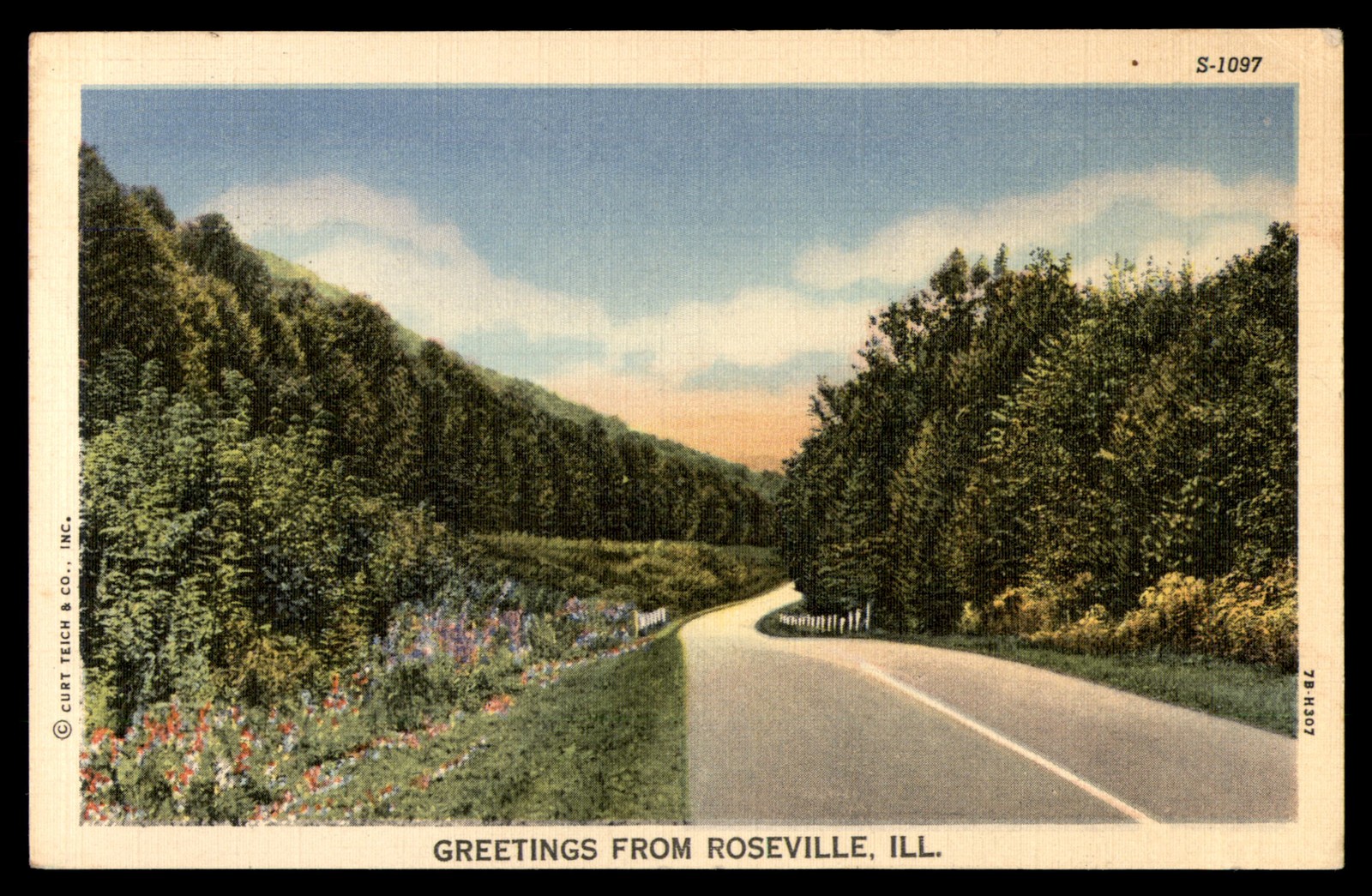Postcard Scenic Road Through Forest Roseville, IL
